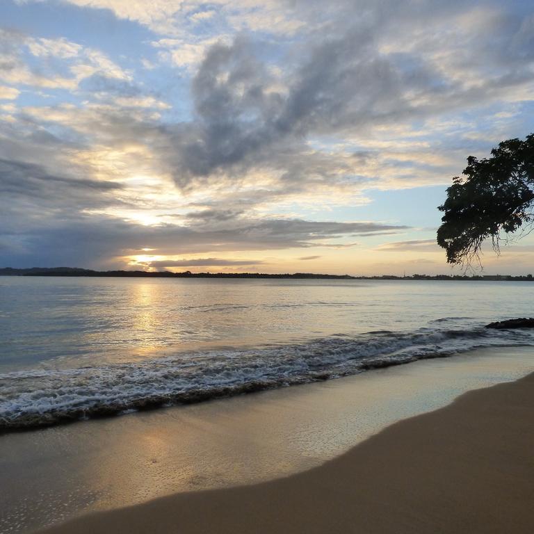 Sand Dollar Beach Bed & Breakfast Bocas del Toro Exterior photo